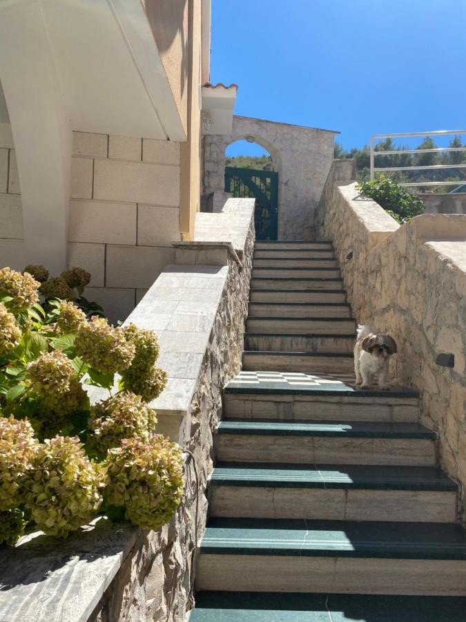 Vila Bilo Primošten Exterior foto